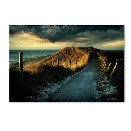 Wim Schuurmans 'Cold Fence' Canvas Art,22x32